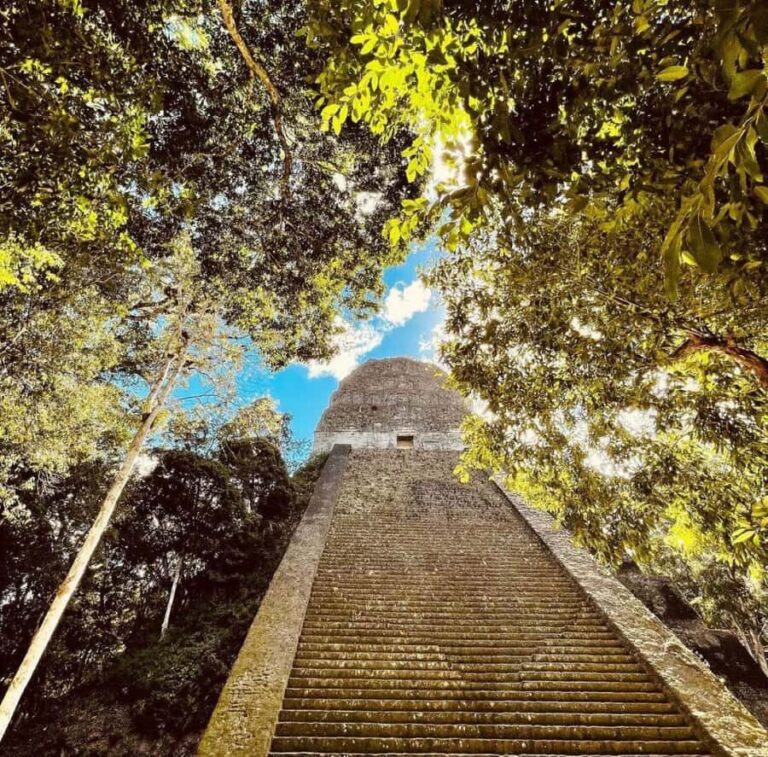 From Flores: Tikal National Park Private Day Trip with Lunch - Why This Tour Works Well for Travelers