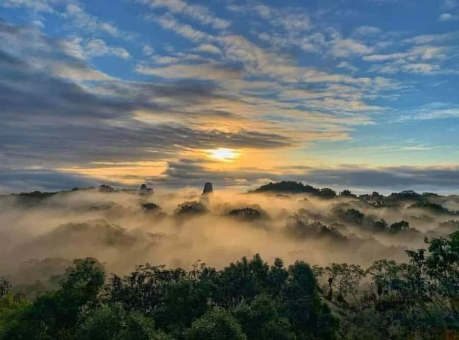 From Flores: Tikal Sunrise Extended Private Tour - Who Should Consider This Tour?