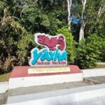 From Flores: Yaxha + Topoxte All-Inclusive Private - The Experience and Its Highlights