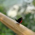 from Foz do Iguaçu: Private Tour on Argentinean Falls - What the Reviews Say