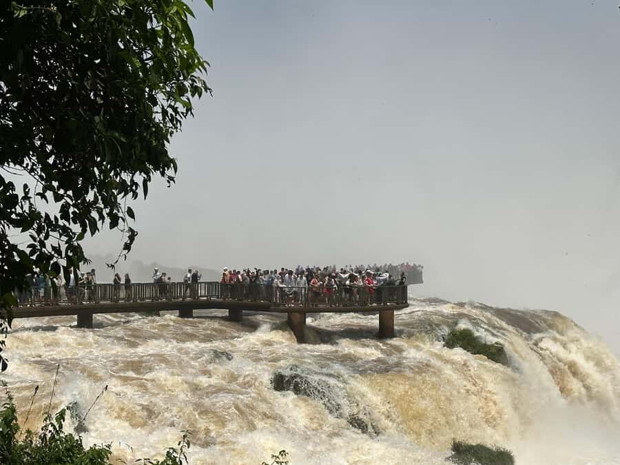 from Foz do Iguaçu: Private Tour on Iguaçu Falls - Who Should Book This Tour?
