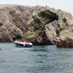 From Huacachina: Ballestas and Paracas Reserve - GROUP TOUR - Real Traveler Perspectives