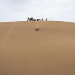 From Huacachina: Buggy in the Huacachina Dunes - Exploring the Huacachina Dunes: What to Expect