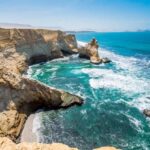 From Ica: Ballestas Islands and Paracas National Reserve - An In-Depth Look at the Experience