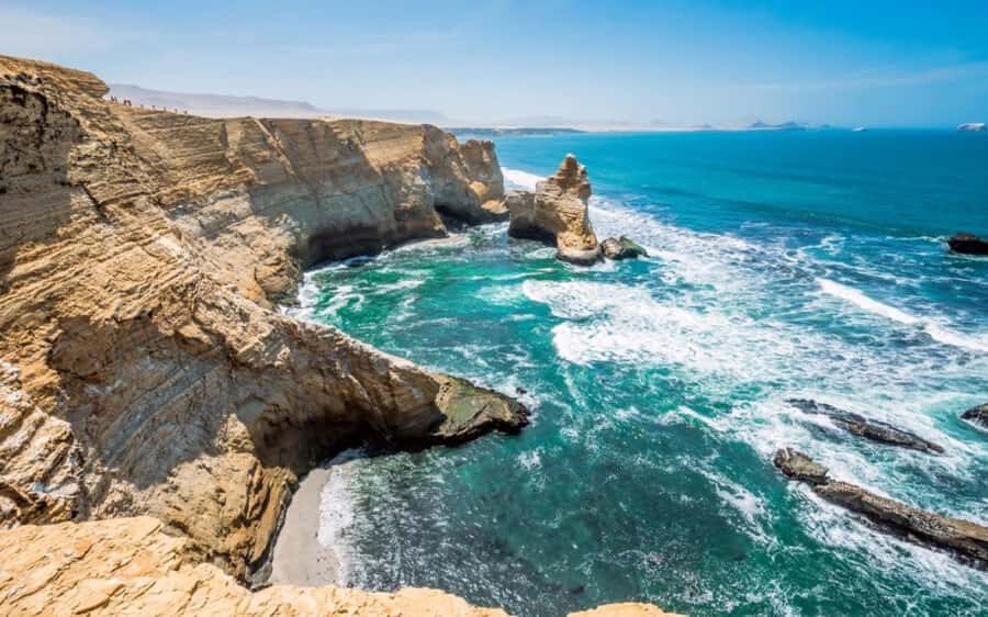 From Ica: Ballestas Islands and Paracas National Reserve - An In-Depth Look at the Experience