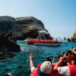 From Ica: Ballestas Islands + Paracas National Reserve - What This Tour Means for Travelers