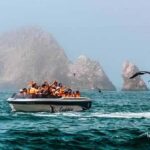 From Ica: Ballestas Islands + Paracas National Reserve - Exploring the Day: A Step-by-Step Breakdown