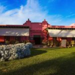 From Ica: Excursion to Wineries - Along the Pisco Route - Why This Tour Is Worth It