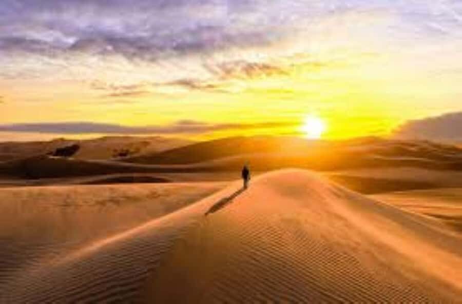 From Ica: Full Day Canyon of the Lost - Why This Tour Offers Good Value