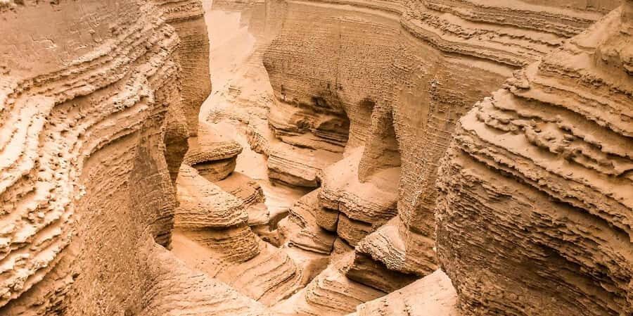 From Ica | Full Day Excursion to Los Perdidos Canyon - A Detailed Look at the Tour Experience