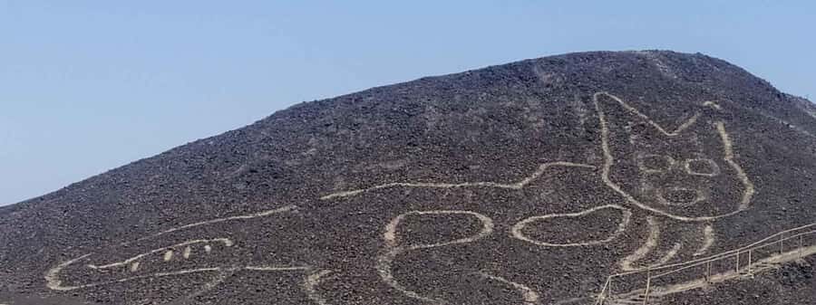 From Ica: Nazca Lines and Maria Reiche Museum Day Trip - Practical Details and Tips