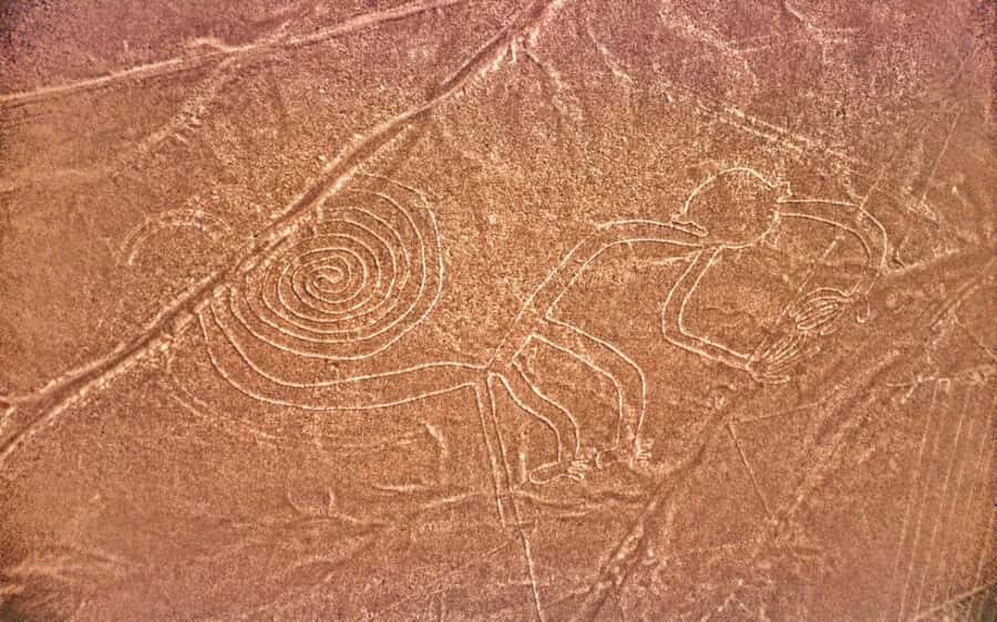 From Ica: Nazca Lines Flight and Maria Reiche Museum Tour - The Experience in Detail