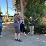 From Ica or Huacachina: Sunset pisco and buggy experience - Practical Details and How to Make the Most of It