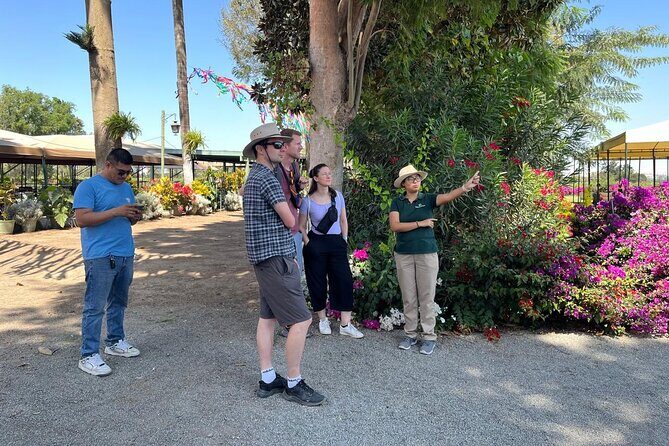 From Ica or Huacachina: Sunset pisco and buggy experience - Practical Details and How to Make the Most of It