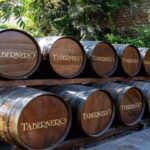 From Ica: Winery Tour - Along the Pisco Route - A Complete Guide to the Ica Winery Tour