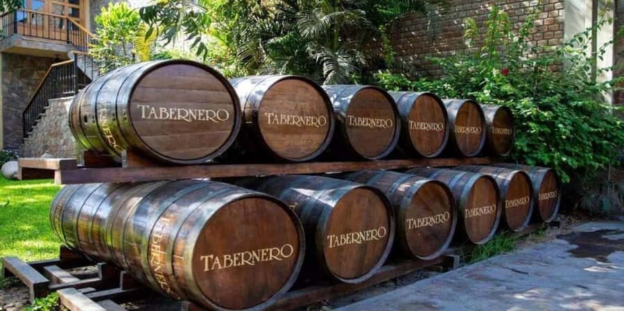 From Ica: Winery Tour - Along the Pisco Route - A Complete Guide to the Ica Winery Tour