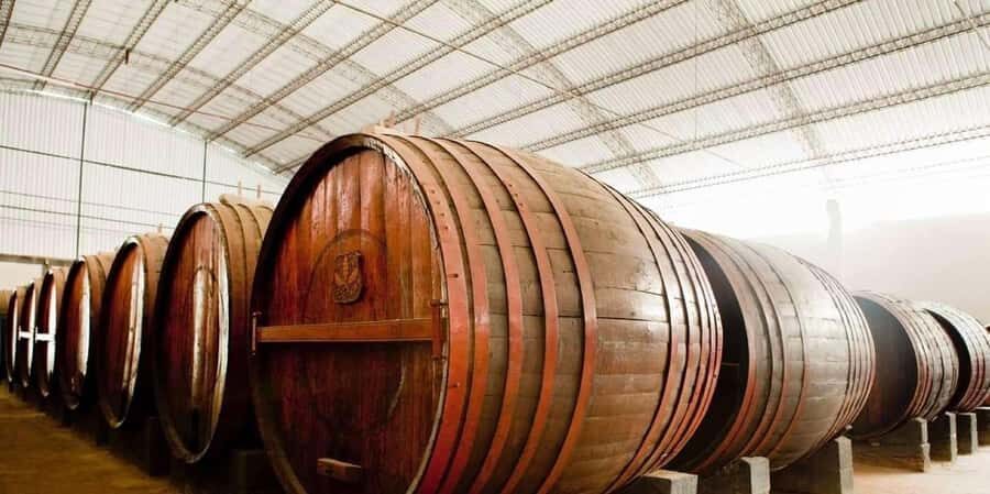 From Ica: Winery Tour - Along the Pisco Route - Why This Tour Excels for Travelers