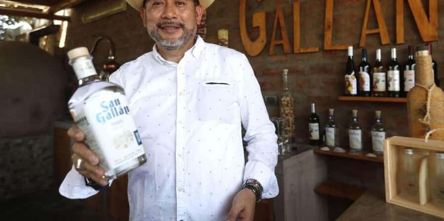 From Ica: Winery Tour with Pisco and Wine Tastings - The Sum Up