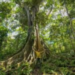 From Iquitos: 3-day Pacaya Samiria National Reserve Tour - Practical Aspects & What to Pack