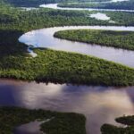 From Iquitos: 3 days/2 nights in Amazonian lodge with meals - Exploring the Itinerary in Detail