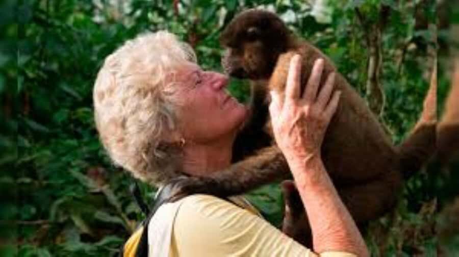 From Iquitos || Excursion to the Monkey Island Full Day || - The Itinerary: What’s Included and Why It Matters