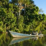 From Iquitos: Full day tour in the Peruvian jungle - Exploring the Amazon River and Natural Reserves