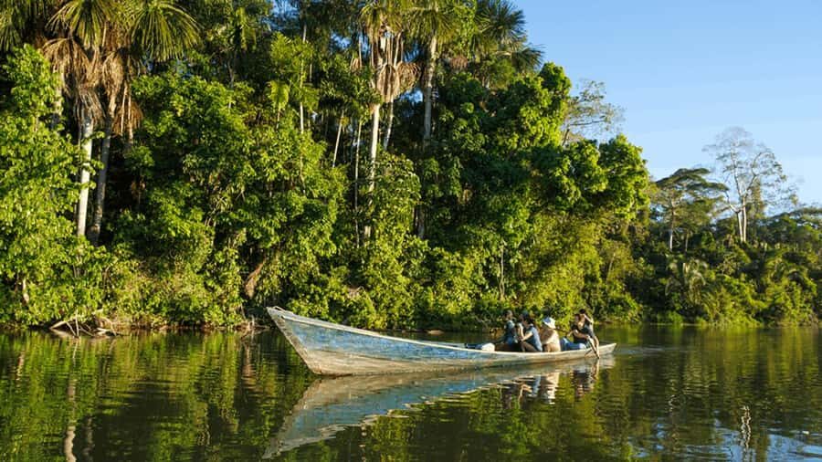 From Iquitos: Full day tour in the Peruvian jungle - Exploring the Amazon River and Natural Reserves