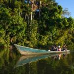 From Iquitos || Navigate the Amazon River - Full day || - A Closer Look at the Amazon Day Trip from Iquitos