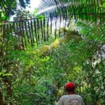 From Iquitos || Navigate the Amazon River - Full day || - Key Points