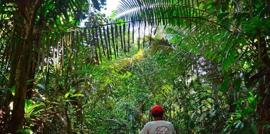 From Iquitos || Navigate the Amazon River - Full day || - Key Points