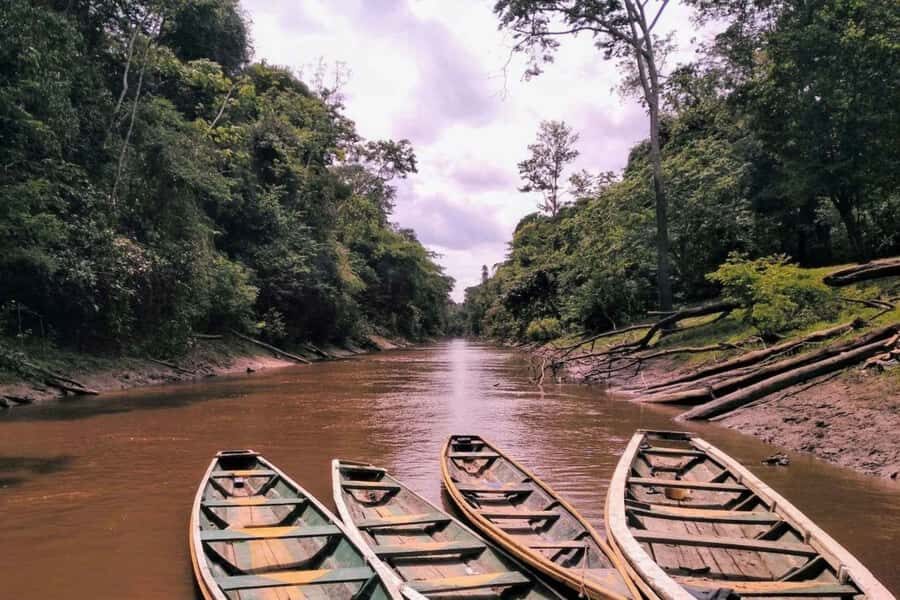 From Iquitos: Sail on the Amazon River |Full Day| - Wildlife Encounters: Nature’s Spectacle