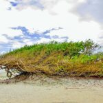 From Jericoacoara: Preá Beach and Paradise Lagoon Tour - Final Thoughts: Is It Worth It?