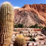 From Jujuy: Salinas Grandes with Purmamarca - In-Depth Review: What Youll Experience