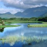 From Jujuy: Yala and Termas de Reyes Half-Day Tour - An In-Depth Look at the Tour