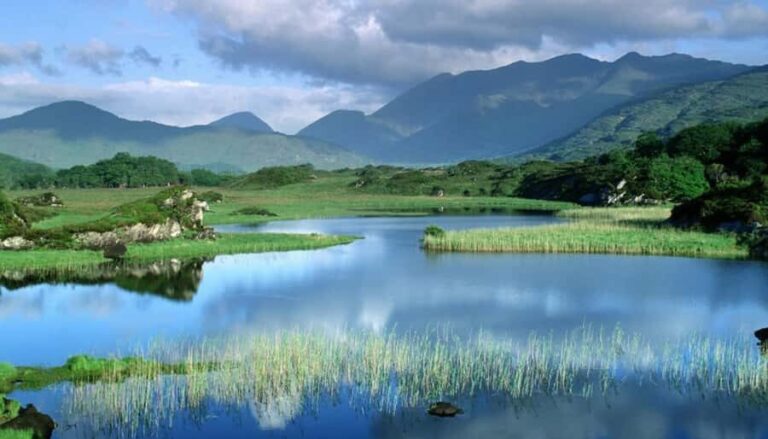 From Jujuy: Yala and Termas de Reyes Half-Day Tour - An In-Depth Look at the Tour