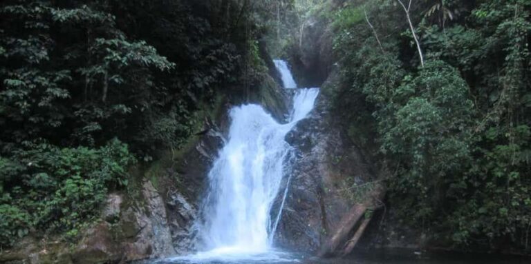 From Junín: Day trip to San Andrés - Who Should Consider This Tour?