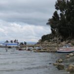 From La Paz: Titicaca Lake & Sun Island by Bus (round trip) - What Travelers Say