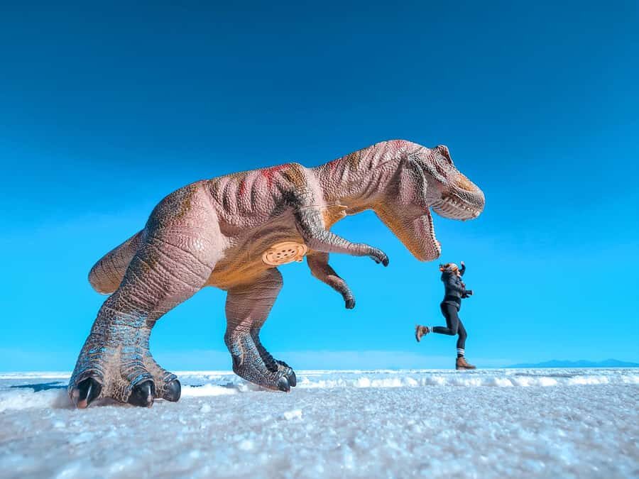 From La Paz: Uyuni Salt Flat Tour & Overnight Roundtrip Bus - Who Will Love This Tour?