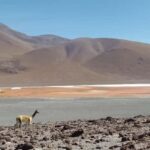 From La Paz: Uyuni salt flats and red lagoon by bus - The Journey Begins: La Paz to Uyuni