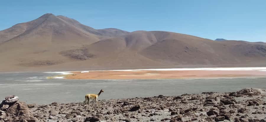 From La Paz: Uyuni salt flats and red lagoon by bus - The Journey Begins: La Paz to Uyuni