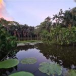 From Leticia: Escape to the Amazon 3-Day Tour - Exploring the Heart of the Amazon: An In-Depth Review
