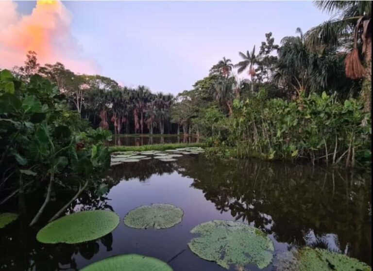 From Leticia: Escape to the Amazon 3-Day Tour - Exploring the Heart of the Amazon: An In-Depth Review