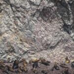 From Lima: 2 Days Paracas Ica Huacachina and vineyards - Whats Included and What to Consider