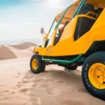 From Lima: Ballestas Islands and Huacachina Oasis Day Trip - Exploring the Details: What You Can Expect on This Tour