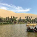 From Lima: Day Trip to Paracas and Huacachina Oasis - Practical Details: What’s Included & What’s Not