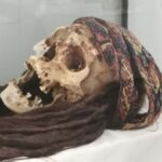 From Lima: Full-Day Tour to Ica and Huacachina Lagoon - A Deep Dive into the Experience