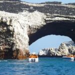 From Lima: Huacachina Oasis & Ballestas Island - ENGL / ESPA - Who Should Take This Tour?