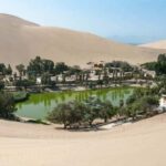 From Lima: Huacachina Sandboarding and Wine Tasting Day Trip - Exploring the Tour: A Practical and Authentic Guide