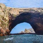 From Lima: Huacachina Sandboarding and Wine Tasting Day Trip - What Makes This Tour Stand Out