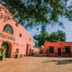 From Lima: Ica and Nazca Huacachina + Wines + Overflight - Artisanal Winery Visit: Tasting the Flavors of Ica